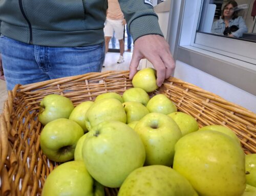 Mange tes fruits d’abord !