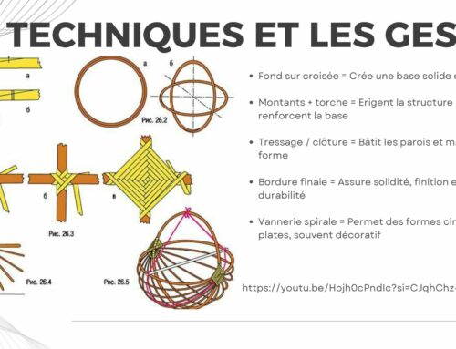 Vannerie et développement durable : une expérience