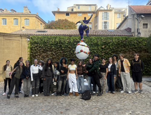 Sortie culturelle des élèves de BMA : à la découverte de Niki de Saint Phalle