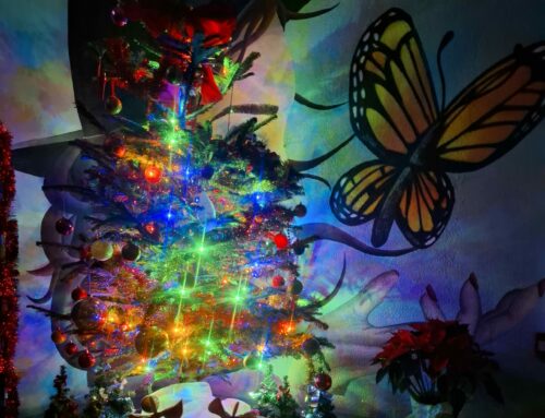 Où se cache le bonheur, aujourd’hui ?