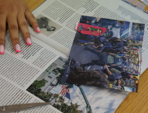 Fanzine sur la liberté