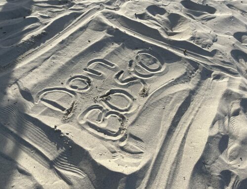 Période 4 : EPS tous à la plage !