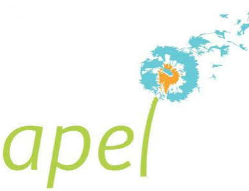 APEL 2026-27